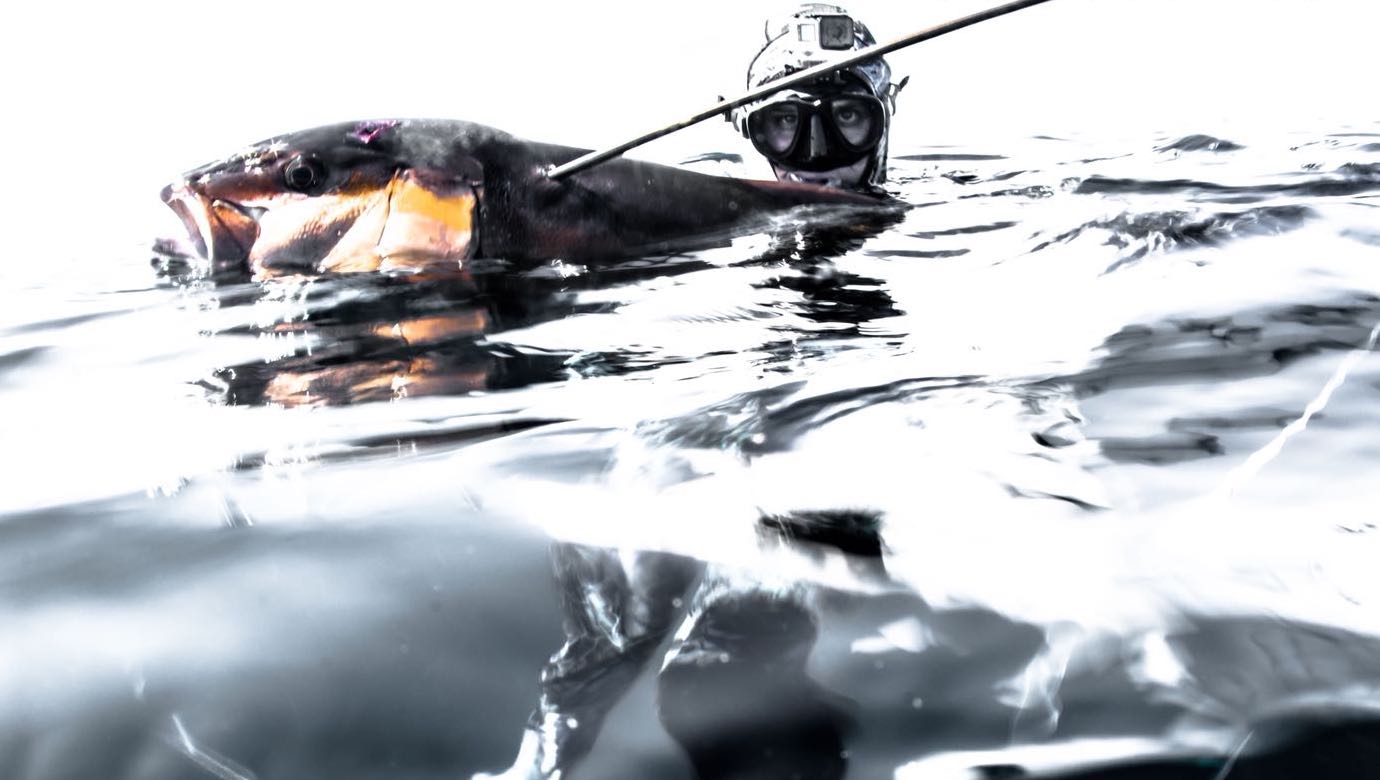 spearfishing session Costa Rica