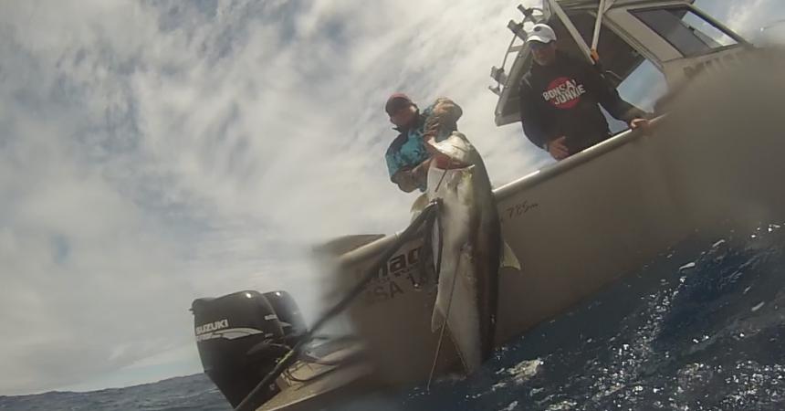 Moving Limits Spearfishing in New Zealand with Diving for a Cause New Zealand 