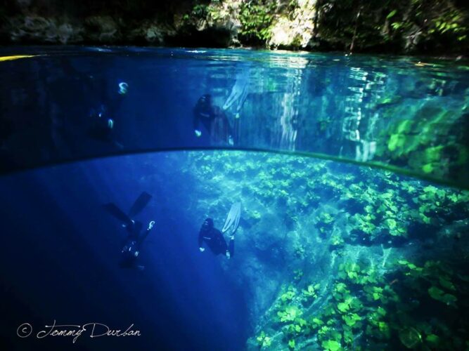 Cenote reflection