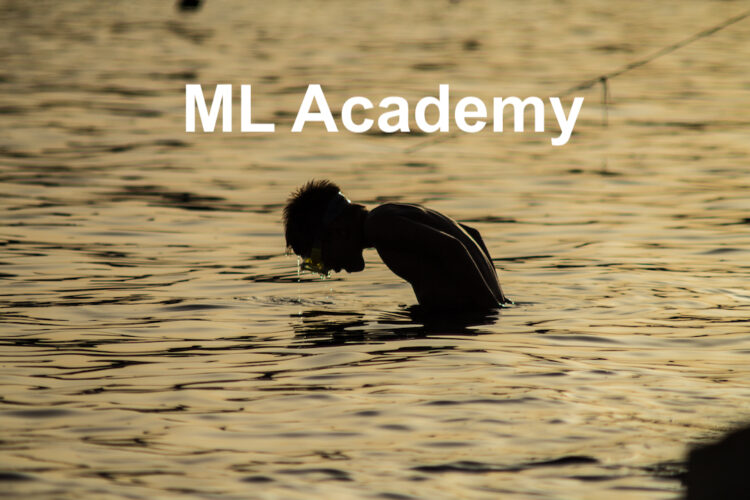 Moving_LImis_Academy