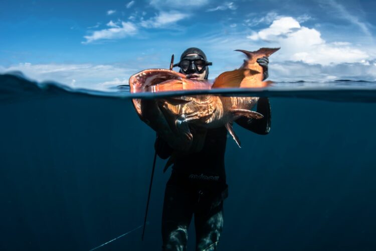 Spearfishing session with Nicola Manfredi