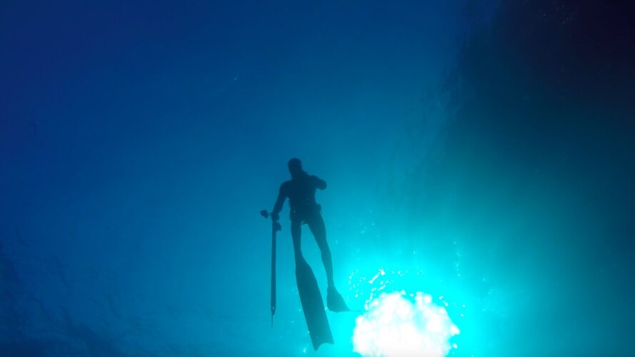 Spearfishing session