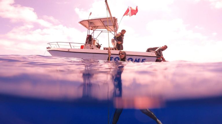 Deep Blue Sardinia Workshop Compensazione: 26 – 29 Agosto 2026